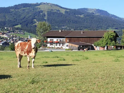 Bio-Bauernhof Bild 3